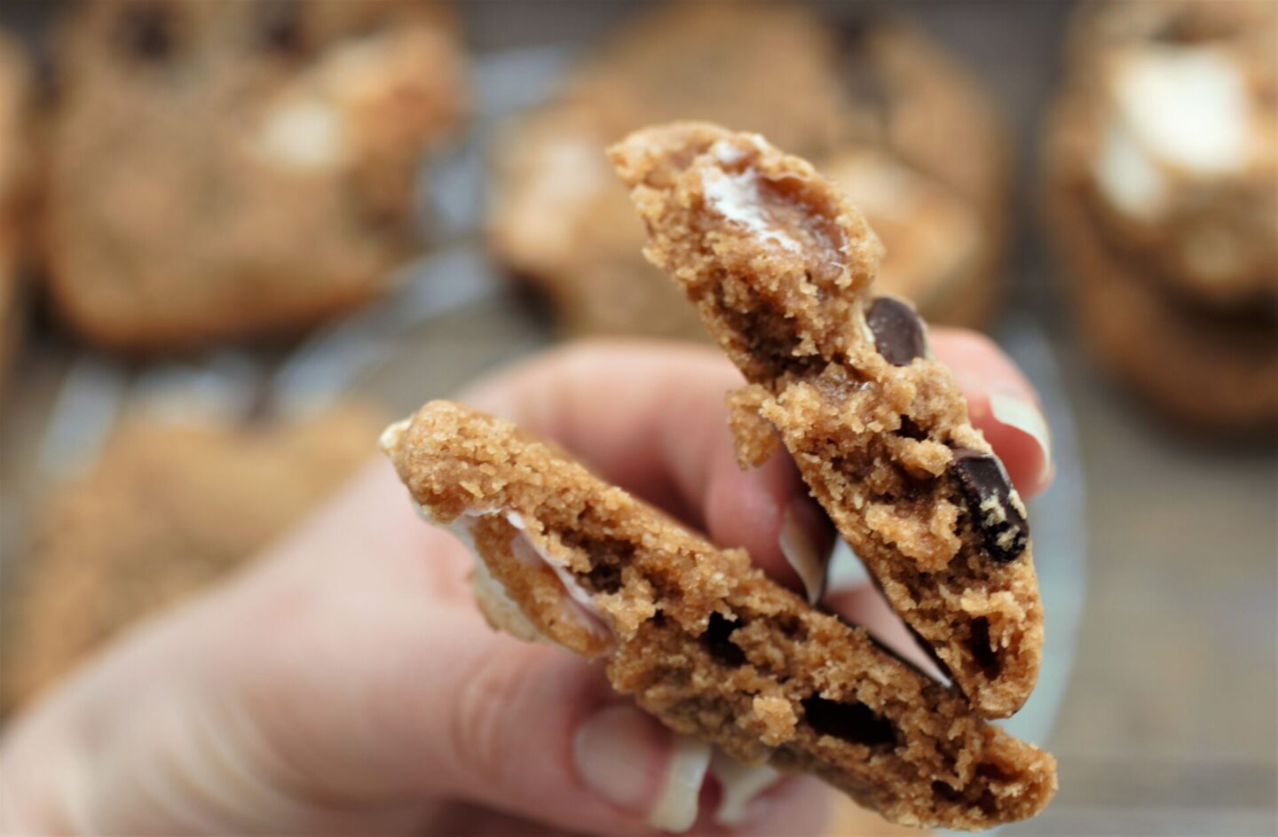 a vegan s'mores cookie broken up to show inside texture