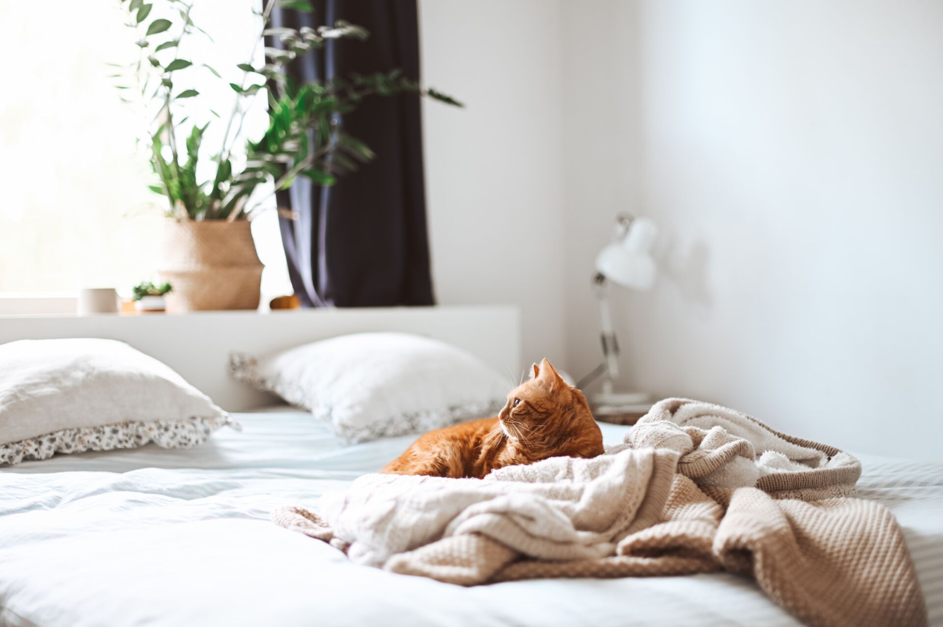 Tips To Maintain A Healthy Sleep Cycle - a light and airy bedroom with white sheets