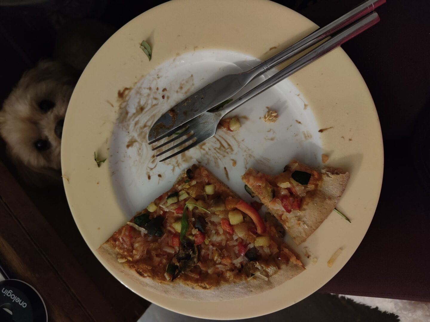 plate with salad and waffle fries eaten and most of the pizza remaining. 