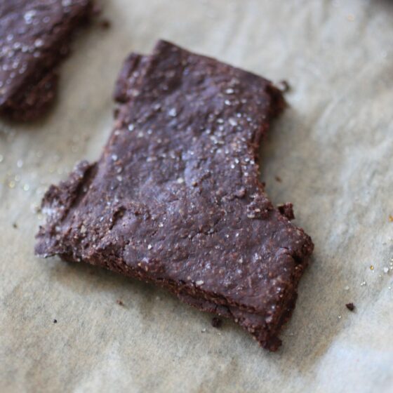 a chocolate cracker with a bite taken from it