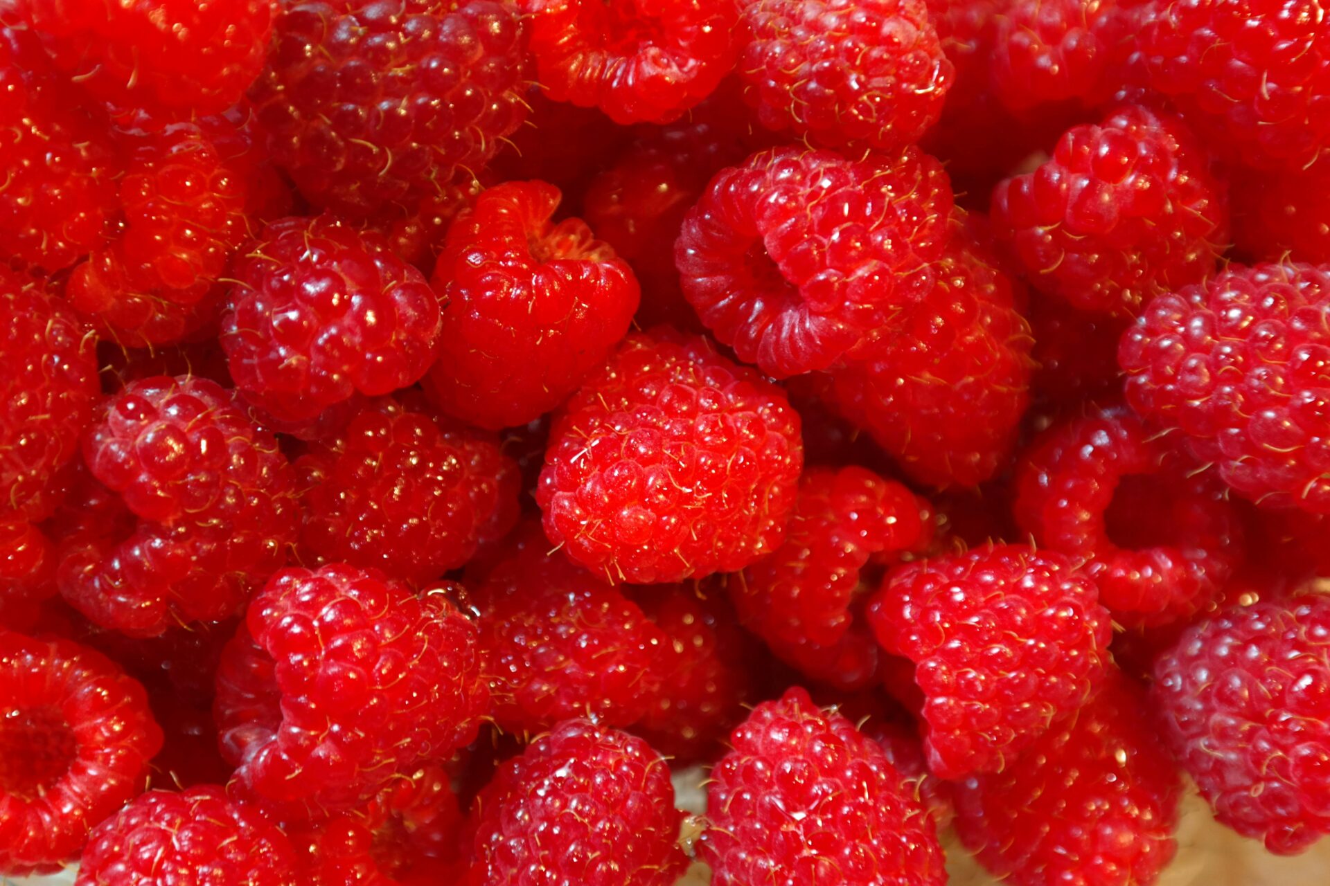 a tray of berries