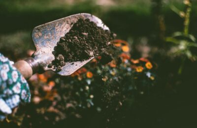 spade in a potting bed with soil on it
