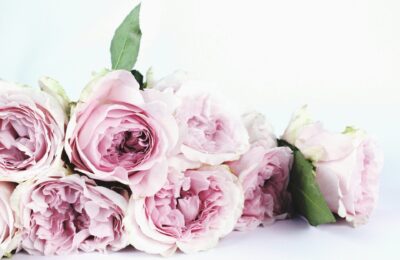 bunch of flowers on a white surface