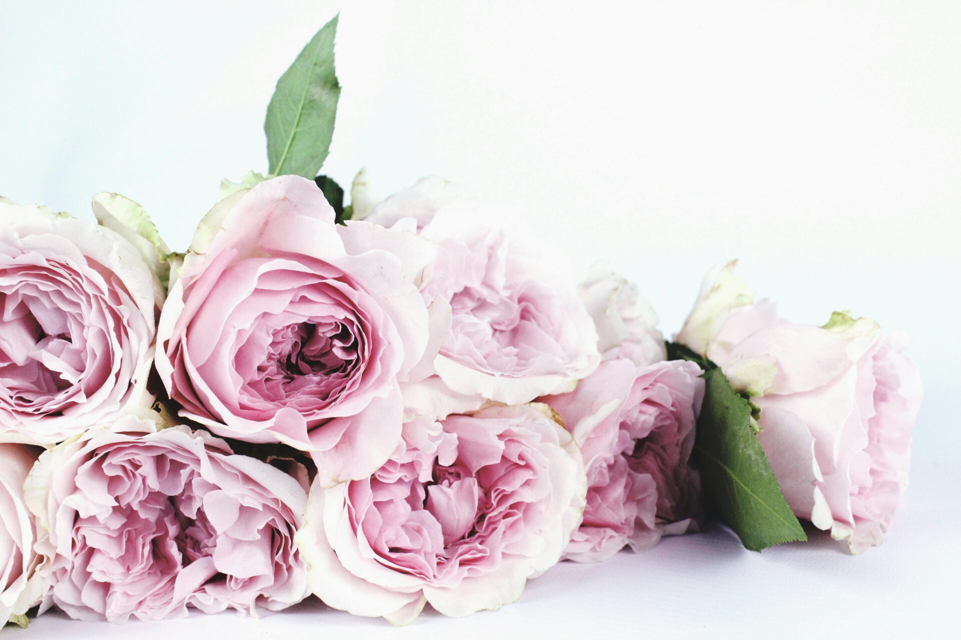 bunch of flowers on a white surface